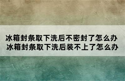 冰箱封条取下洗后不密封了怎么办 冰箱封条取下洗后装不上了怎么办